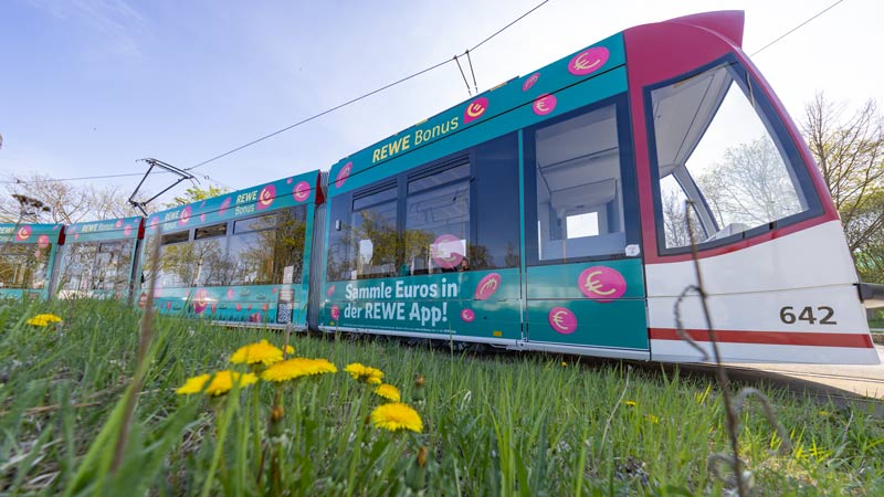 Werbe-Straßenbahn mit REWE Bonus-Aufschrift fährt an Löwenzahnwiese vorbei unter blauem Himmel.