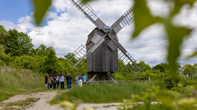 Gruppe von Menschen besichtigt eine alte hölzerne Windmühle auf einem Feldweg im Grünen.