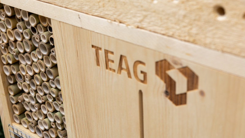 Holz-Insektenhotel mit Bambusröhrchen und eingraviertem TEAG-Logo.
